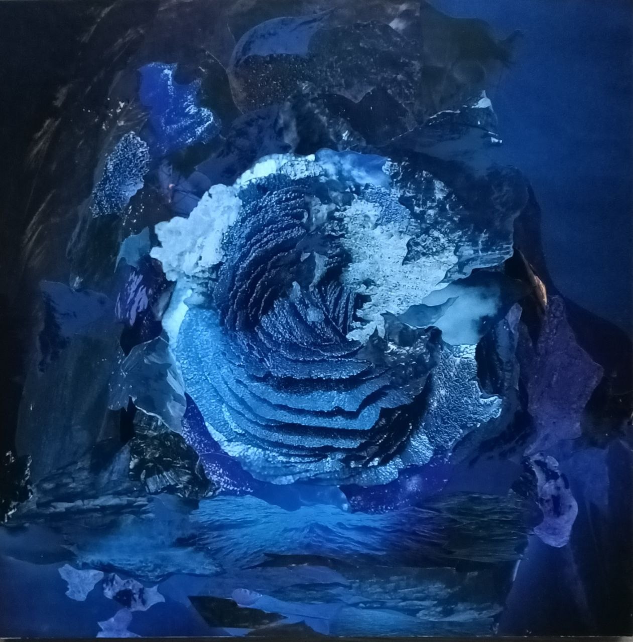 A dark blue rose-like form opens inside a nocturnal field.